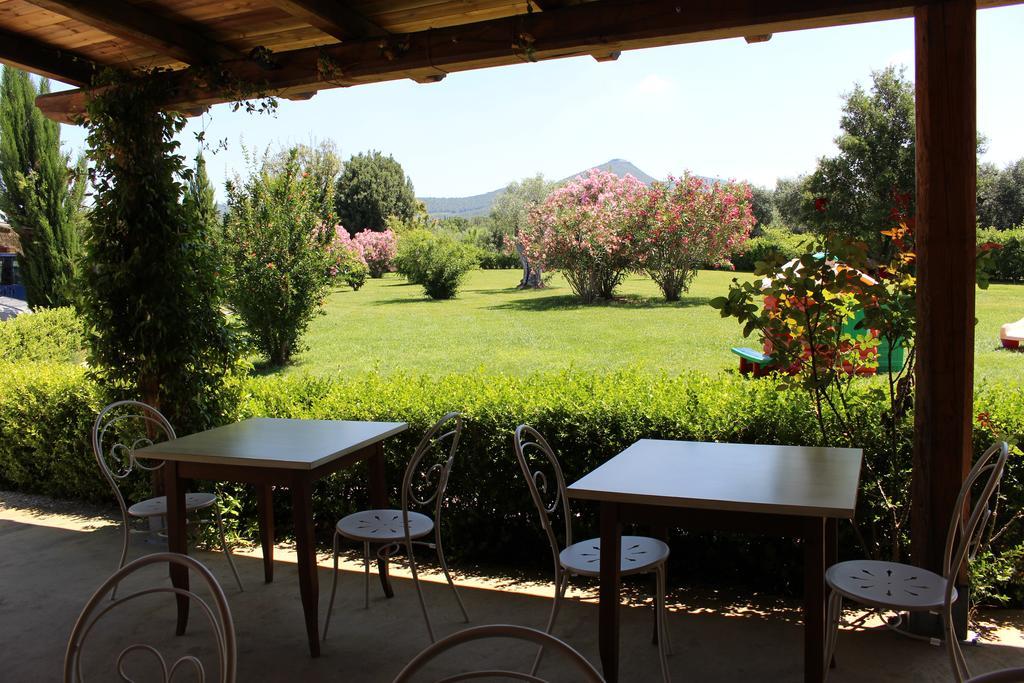 Agriturismo Eucaliptus Bolgheri Exterior photo