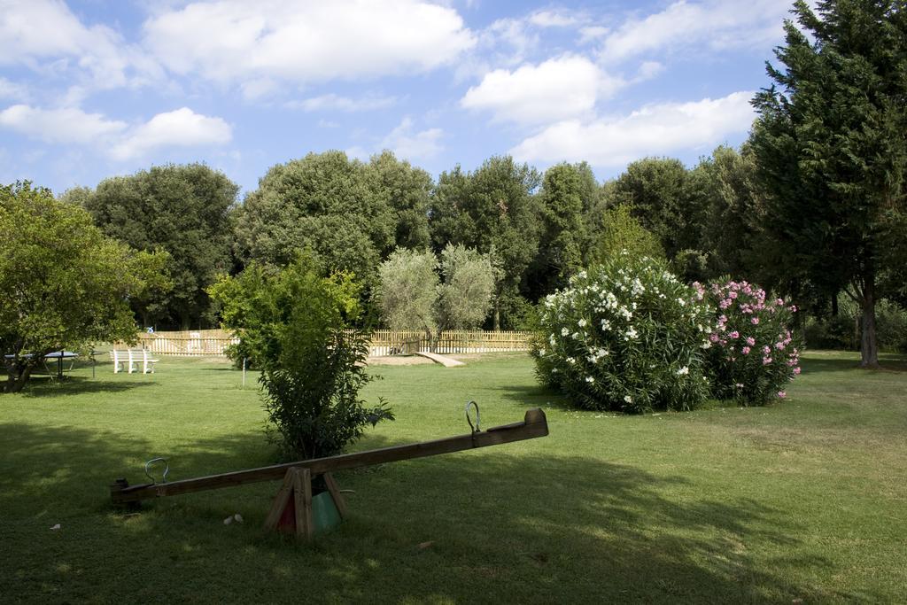 Agriturismo Eucaliptus Bolgheri Exterior photo