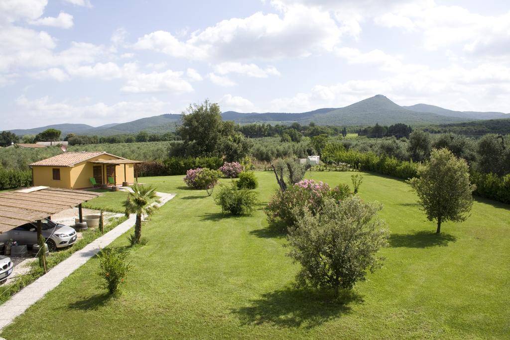 Agriturismo Eucaliptus Bolgheri Exterior photo