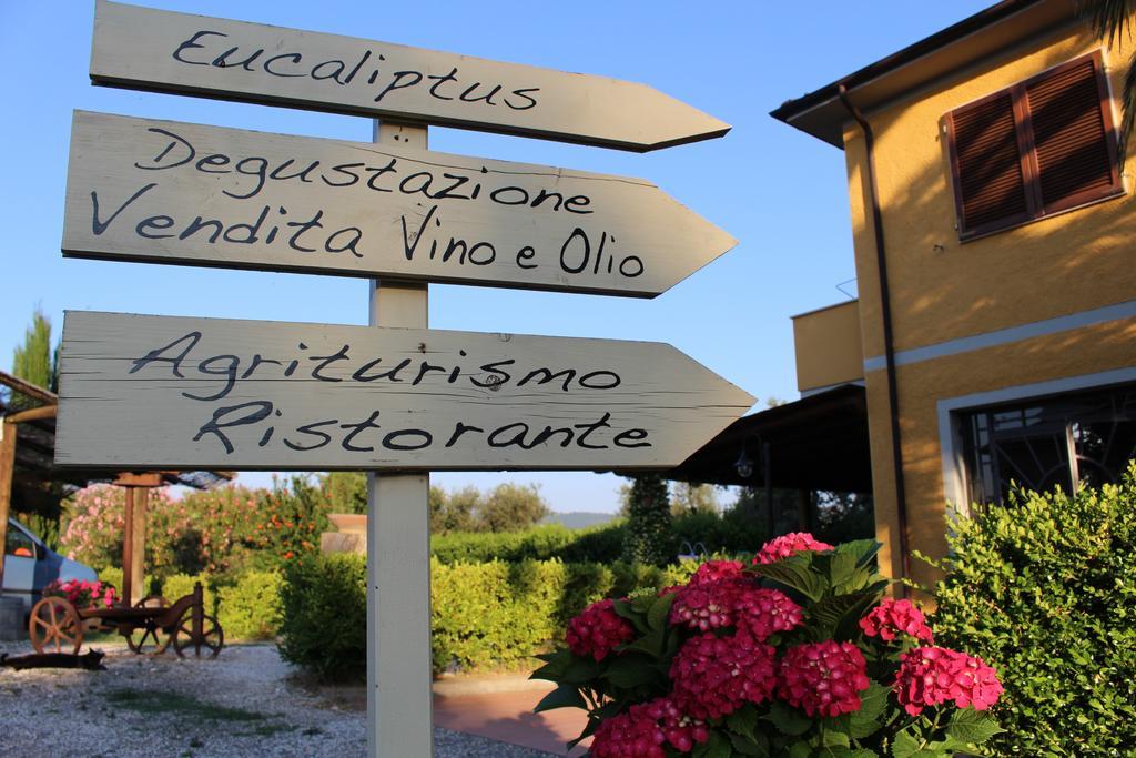 Agriturismo Eucaliptus Bolgheri Exterior photo